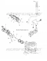 CORPS DE PAPILLON and INJECTOR