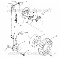 STATOR ASSEMBLY TRAIL 0950761, TRAIL DELUXE 0950262  and EUROPEAN TRAIL DE (4928862886D004)