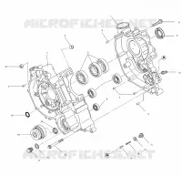 CARTERS MOTEUR