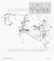 ELECTRICITE, WIRE HARNESS