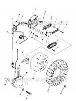 STATOR (TRAIL) (4909500950036A)