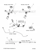 ELECTRICITE, JUMPERS/WIRE HARNESS