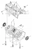 CARTERS MOTEUR