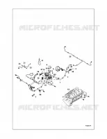 ELECTRICITE, HARNESS