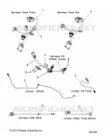 ELECTRICITE, JUMPERS/WIRE HARNESS