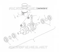 PISTON ET VILEBREQUIN (800)