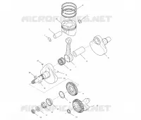 VILEBREQUIN AND PISTON
