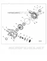 SYSTÃˆME DE TRANSMISSION, REAR GEARCASE INTERNALS