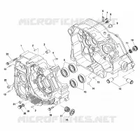 CARTERS MOTEUR