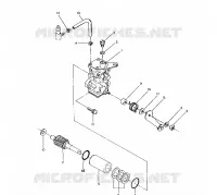POMPE A HUILE 250 6x6 / W928727 (4922842284045A)