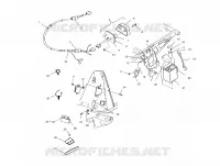 ELECTRICITE/FEU ARRIERE
