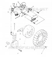 STATOR   Indy Lite (4919311931029A)