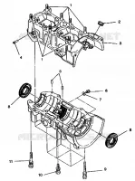 CARTERS MOTEUR ASSEMBLY 440 E942760 and 440 SKS E942560 (49273927390032)