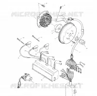 STATOR