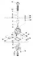 CARBURATEUR ASSEMBLY (4918541854045A)