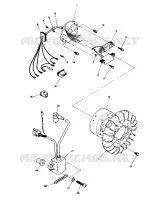 STATOR (STAR) (4910951095024A)