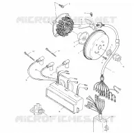STATOR