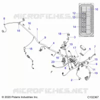 ELECTRICITE, HARNESS