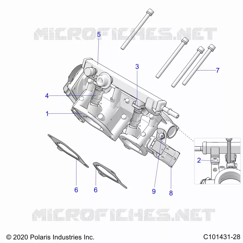 ENGINE, CORPS DE PAPILON