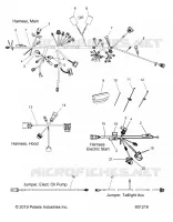 ELECTRICITE, WIRE HARNESS