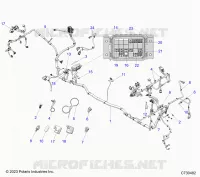ELECTRICITE, WIRE HARNESS