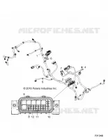 ELECTRICITE, WIRE HARNESS