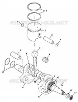VILEBREQUIN AND PISTON