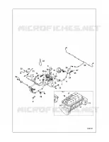 ELECTRICITE, HARNESS