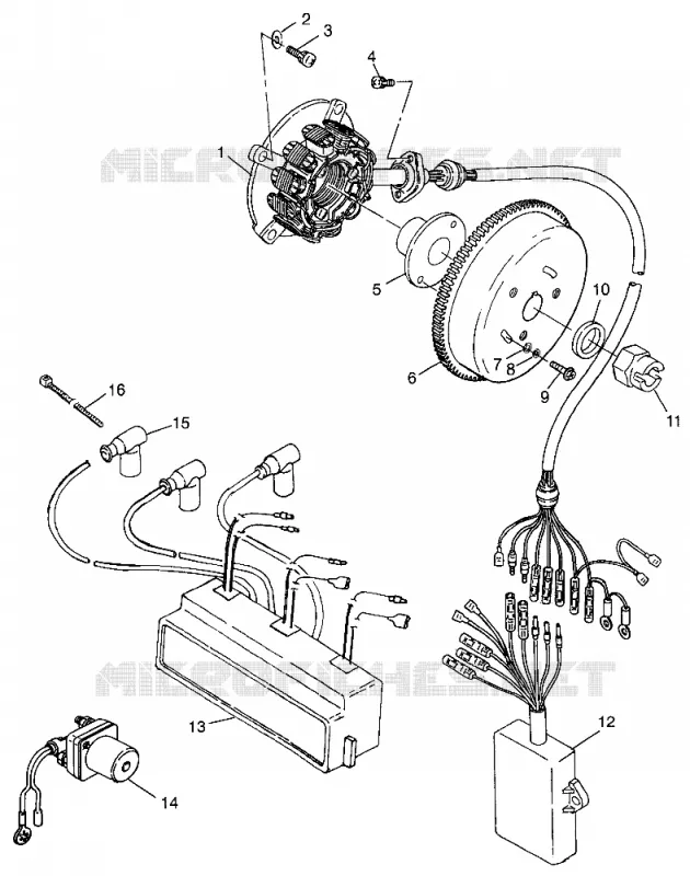 STATOR SLTX B974590 and INTL. SLTX I974590 (4941214121C005)