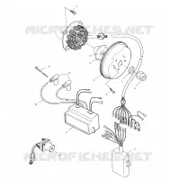 STATOR