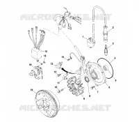 STATOR
