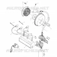 STATOR