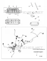 ELECTRICITE, HARNESS
