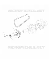 MOTEUR, POULIE DE TRANSMISSION AND DRIVE BELT