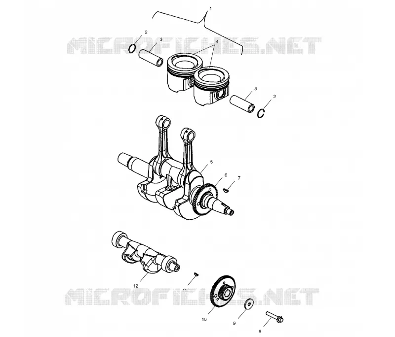 VILEBREQUIN AND PISTON