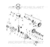 VILEBREQUIN AND PISTON 350 4X4/W928139 (4922832283038A)