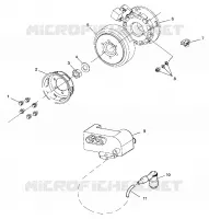 STATOR