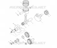 VILEBREQUIN AND PISTON