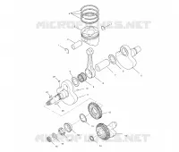 VILEBREQUIN AND PISTON