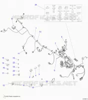 ELECTRICITE, HARNESS