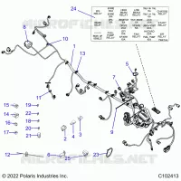 ELECTRICITE, HARNESS