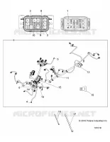 ELECTRICITE, HARNESS
