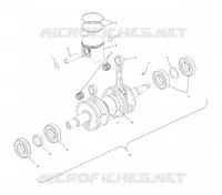 PISTON ET VILEBREQUIN (800)