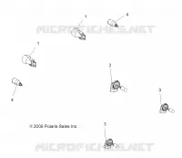 AMPOULES