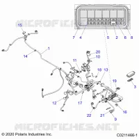 ELECTRICITE, HARNESS