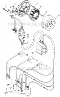 STATOR 700 XCR 0985678(A) and EUROPEAN 700 XCR E985678 (4943114311D004)