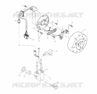 STATOR