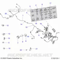 ELECTRICITE, HARNESS