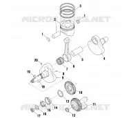 VILEBREQUIN AND PISTON