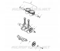 VILEBREQUIN AND PISTON